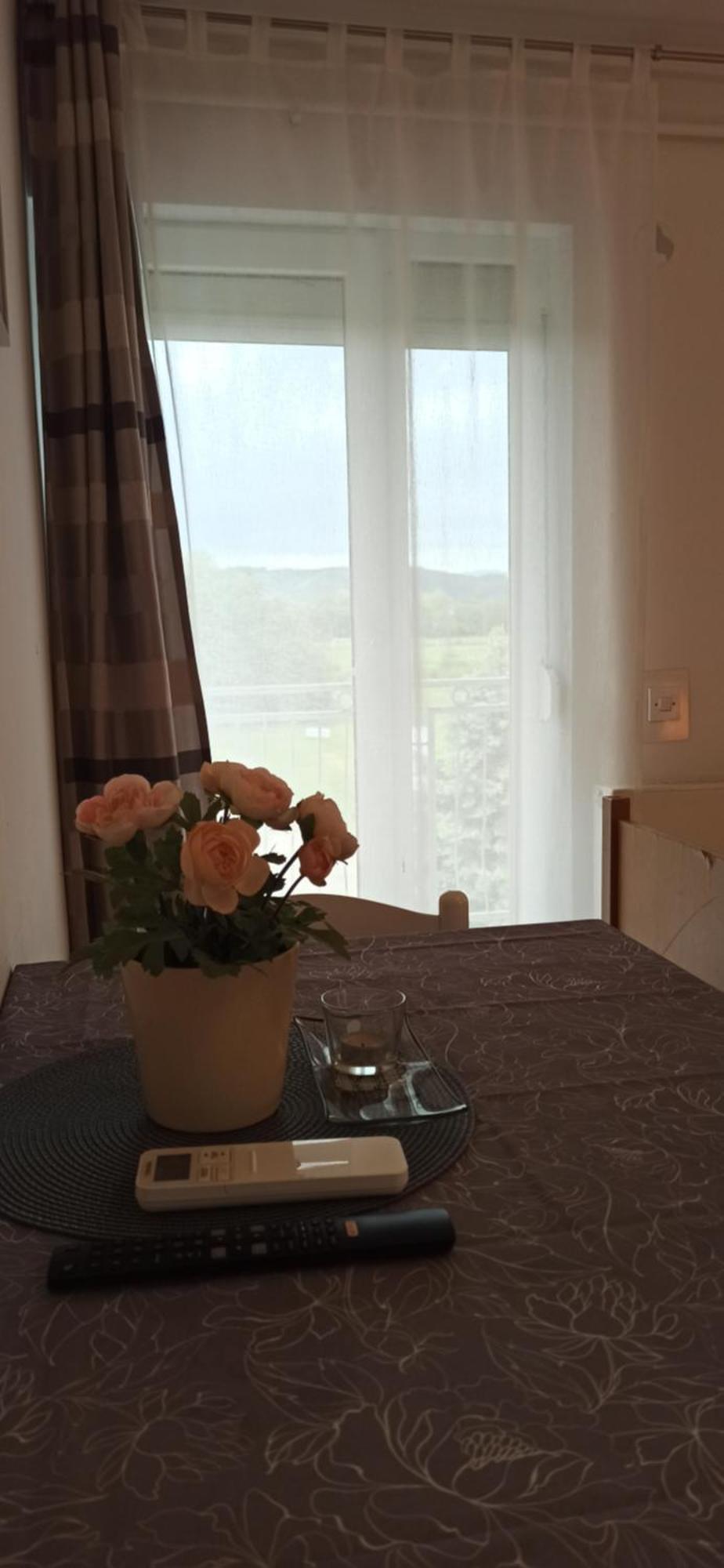 Studio Apartmani Ok Lipik 部屋 写真